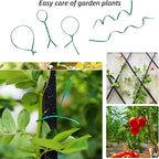 Plant Twist Ties - 8'' Plant Ties for Climbing Plants - Garden Ties Reusable Twist Ties Garden Twine for Plants Vines Cords Bags - Pack of 100, Green