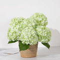 DuHouse 5Pcs Large Hydrangea Artificial Flowers,20 inch Latex Real Touch Hydrangeas Lifelike Hydrangea Flower for Home Wedding Bouquets Centerpieces Party Living Room Outdoors Decoration(Light Green)