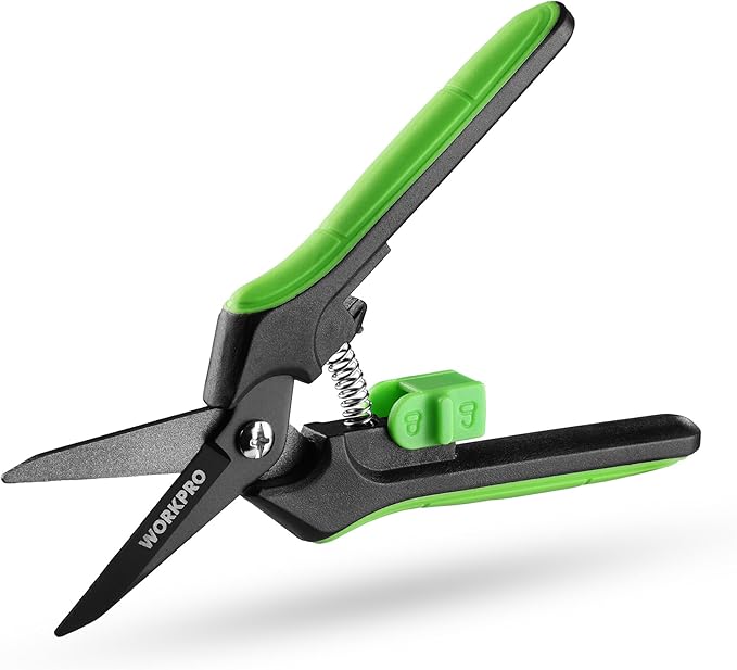 WORKPRO 6-Inch Pruning Shears, Sharp Gardening Scissors for Precise Cuts, High-Carbon Steel Plant shears with and Safety Lock, Garden Clippers for Cutting Flowers, Trimming Plants, Picking Fruits