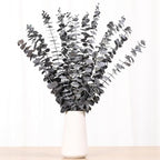 Tavkite 16 Pcs Dried Eucalyptus Stems, 17'' Natural Eucalyptus Leaves Branches Hanging for Shower, Preserved Real Black Plant Live Greenery for Home SPA Wall Bathroom Wedding Party Vase Decor