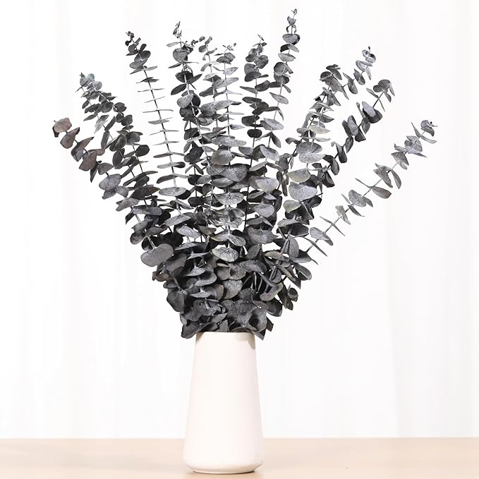 Tavkite 16 Pcs Dried Eucalyptus Stems, 17'' Natural Eucalyptus Leaves Branches Hanging for Shower, Preserved Real Black Plant Live Greenery for Home SPA Wall Bathroom Wedding Party Vase Decor