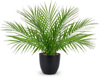 Briful Fake Plant 15’’ Artificial Palm Plant in Matte Black Pot Realistic Faux Tropical Palm Tree Houseplant for Home Indoor Living Room Tabletop Bedroom Decorations