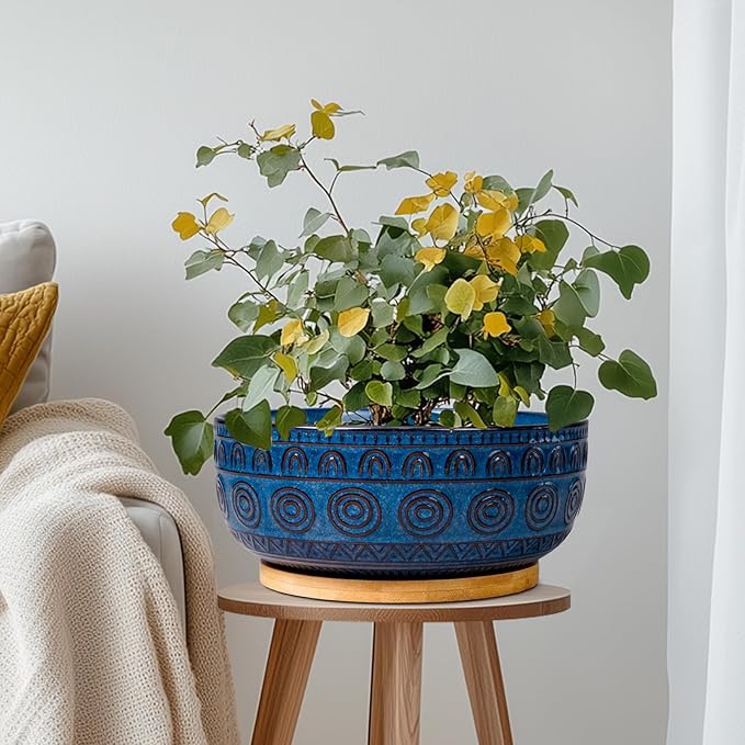 Eightpot Bonsai Pots 8 Inch - Ceramic Succulent Pots for Indoor Plants, Shallow Round Planters with Drainage Hole and Saucer, Boho Bonsai Bowl, Home Decor, Blue
