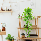 LOYWREE Small Fake Hanging Plant Artificial Potted Plants for Indoor Outdoor Aesthetic - 39in Realistic Faux Hanging Pothos with Ivy Vine for Shelf Decor in Home Office Gardens Greenery (Black Pot)