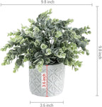 MyGift Artificial Eucalyptus Plant in Modern Gray Concrete Pots with Geometric Embossed Pattern (1, White)