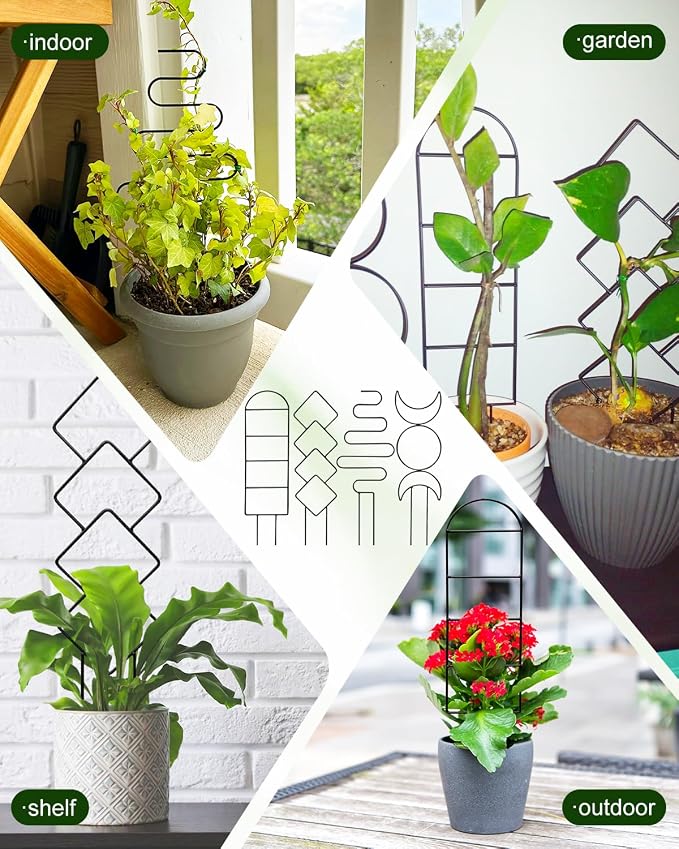 4 Pack Trellis for Indoor Climbing Plant, Small Metal Garden Trellis for Potted Plants, Stake Mini Treleaf Trellis Support for Hoya, Vines, Pothos, Monstera (Black)