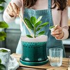 BUYMAX 8 Inch Plant Pot, Ceramic Planter with Drainage Hole and Saucer, Ceramic Flower Pot for Indoor Plants, Modern Round Flower Pots for Home and Office
