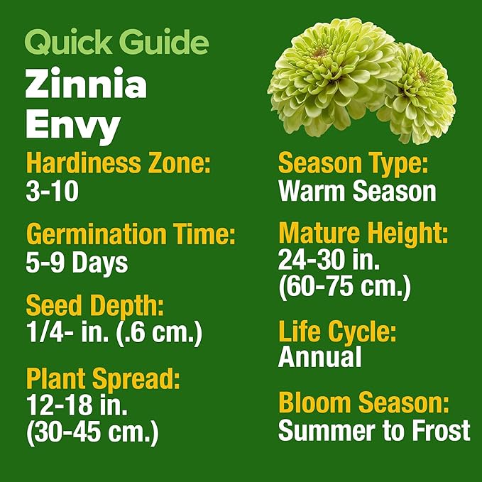 HOME GROWN Envy Zinnia Seeds (2oz) – 8500 Rare Lime Green Annual Zinnia Flower Seeds for Planting, Fast-Growing Bulk Seed Variety, Premium Garden Companion for 2026 Bloom (Zinnia elegans)
