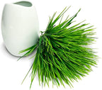 10 Bundles Artificial Grass Plants,Outdoor Faux Grass Plant UV Resistant Fake Plastic Wheat Grass for Indoor Outdoors Fake Realistic Grass for front porch yard patio balcony Garden Decoration- Green