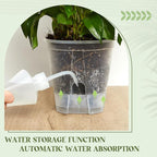 Wonderjune Self Watering Pots for Indoor Plants with Deep Reservoir and High Drainage Holes for Outdoor Plants and Flowers, Bare Root Planter(4.72'', 5.91'', 7.09'',Clear,9 Pcs)