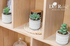 Der Rose Set of 4 Succulents Plants Artificial Fake Plants for Living Room Bathroom Bedroom Aesthetic Home Kitchen Decor