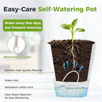 6 Pack Self Watering Plant Pots 5 Inches Self Watering Planters for Indoor and Outdoor Plants African Violet Self Watering Pots Clear Pots for Plants Herb Orchid Flower Houseplant Pots, Light Grey