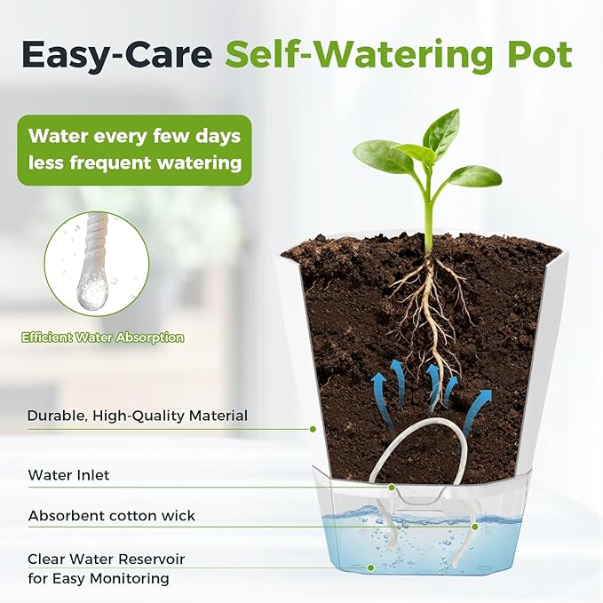 2 Pack Self Watering Pots for Indoor Plants, 8.4" Self Watering Planters Large African Violet Self Watering Clear Pots for Plants Large Herb Orchid Flower Houseplant, Ivory White