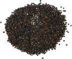 Seed Needs White Baby's Breath Seeds for Planting - Heirloom & Open Pollinated Annual Flowers - Perfect for a Butterfly Garden, Bouquets & Floral Arrangements (1 Pack)