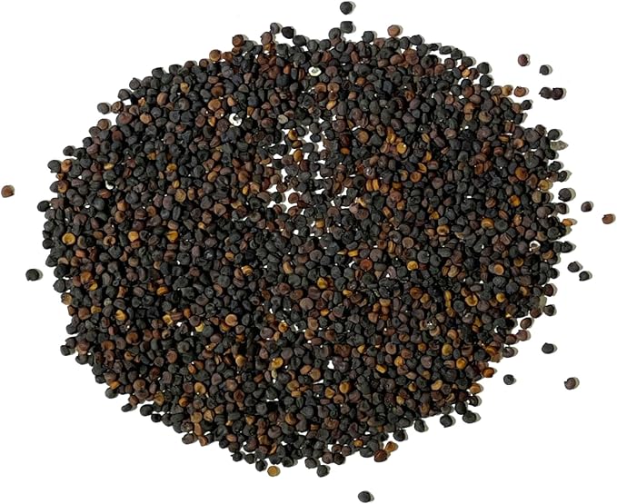 Seed Needs White Baby's Breath Seeds for Planting - Heirloom & Open Pollinated Annual Flowers - Perfect for a Butterfly Garden, Bouquets & Floral Arrangements (5 Packs)