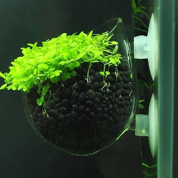 4 Pcs Aquarium Plant Pot Planter, Glass Fish Tank Plants Holder, Aquarium Decoration Plant Cup with Suction Cups for Fishes Tank Ornament Aquarium Décor Plastic Plants Fish and Aquatic Pets