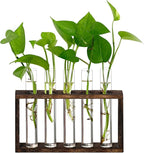 XXXFLOWER Plant Propagation Station,Plant Terrarium Wooden Stand with 5 Test Tubes,Glass Planters for Indoor Plants,Plant Lover Gifts for Women Mom Wife Daughter,Garden Office Room Decoration