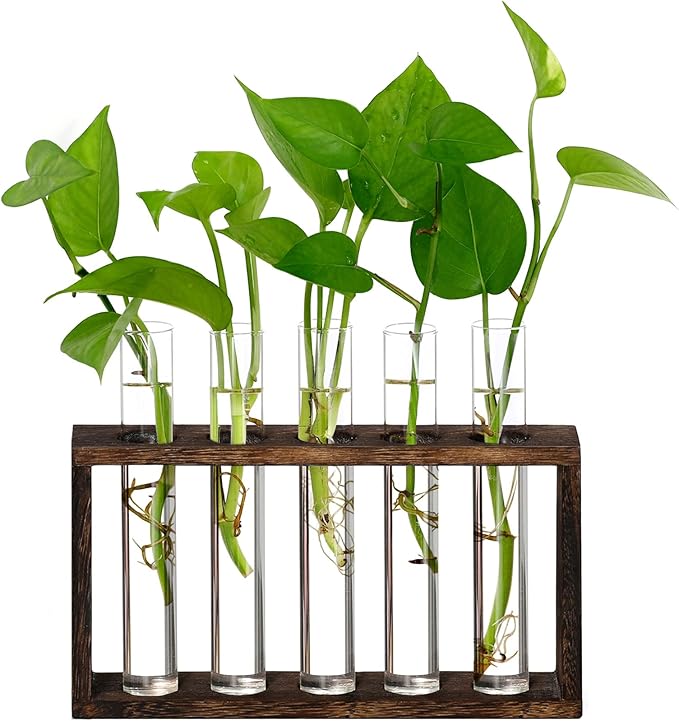 XXXFLOWER Plant Propagation Station,Plant Terrarium Wooden Stand with 5 Test Tubes,Glass Planters for Indoor Plants,Plant Lover Gifts for Women Mom Wife Daughter,Garden Office Room Decoration