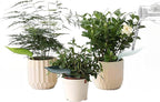 8 PCS Watering Leaves Plastic Plant Pot Watering Funnel Leaf Shape Drip Irrigation Device for Indoor and Outdoor Plants