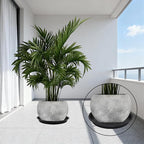 4 Size Round Plant Saucer,8 Pack Pant Pot Trays, Plant Saucers for Indoors and Outdoors, Seed Starting Tray, Growing Trays,Black（4",5",6",8"）