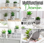 Zen Home Cute Fake Plants for Shelf - Mini Succulent Plants - Small Artificial Plants for Shelf Decor - Desk Plants for Office - Small Faux Plant - Fake Desk Plant for Office or Class (Shy Mom)