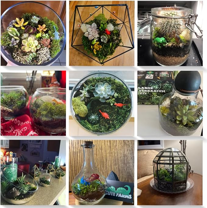 Cute Farms Terrarium Starter Kit | Moss, Vermiculite, Soil, Pebbles, Plant Food, & Finishing Tools (Large Kit + Live Plants + Crystals)