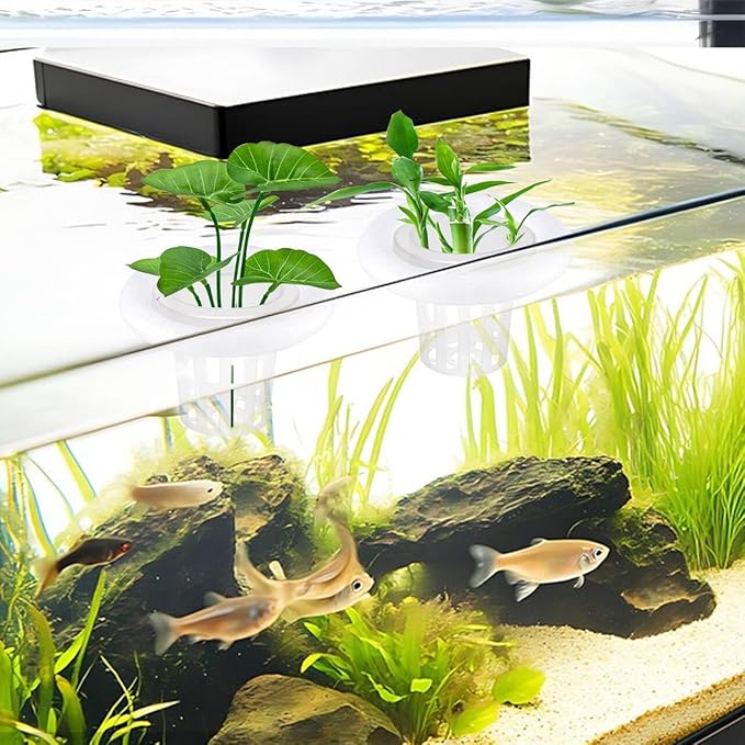 4 PCS Floating Aquarium Plant Holder, Plastic Fish Tank Basket with Foam Rings, Aquatic Pot for Fish Tank Aquaponic Plant Cultivation and Aquascape Decorations