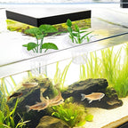 4 PCS Floating Aquarium Plant Holder, Plastic Fish Tank Basket with Foam Rings, Aquatic Pot for Fish Tank Aquaponic Plant Cultivation and Aquascape Decorations