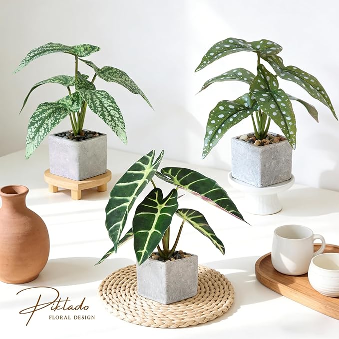 3pcs Small Fake Plants Artificial Begonia Leaves Faux Plants Indoor for Office Desk Shelf Bathroom Home Decor
