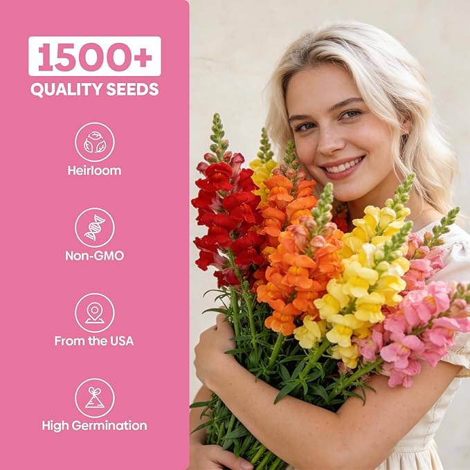 Groundio 1500+ Tetra Mix Snapdragon Seeds for USDA 1-12 Planting, 18-24’’ Tall Snap Dragon Mix, Annual Wildflower Seeds, Ideal for Garden, Containers (Antirrhinum Majus)