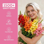 Groundio 1500+ Tetra Mix Snapdragon Seeds for USDA 1-12 Planting, 18-24’’ Tall Snap Dragon Mix, Annual Wildflower Seeds, Ideal for Garden, Containers (Antirrhinum Majus)