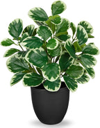 Villa Como 14.5" Artificial Plants Indoor Home Decor, Fake Potted Silk Plants for Shelves Living Room Decorative, Small Artificial Office Desk Plant in Pots, Faux Peperomia Hope Tropical House Plant