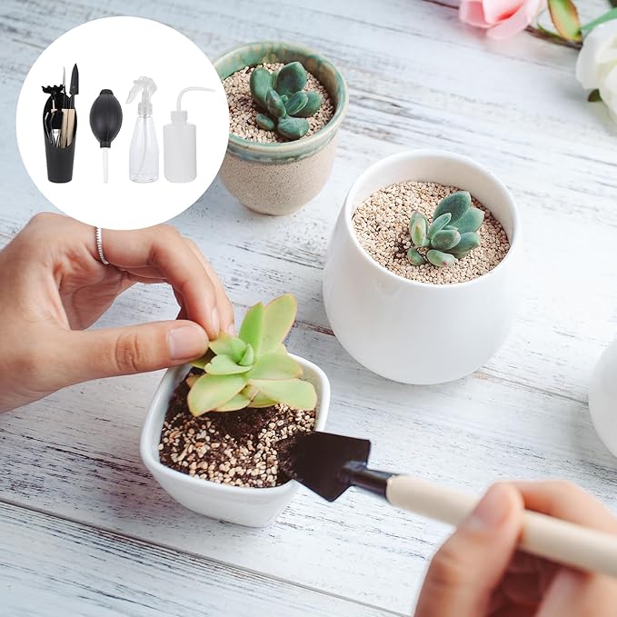 14pcs Succulent Planting Tools Set with Spraying Bottle, Mini Shovel, and Pruning Scissors for Indoor Gardening and Potted Plants, Black Gardening Accessories for Plant Care