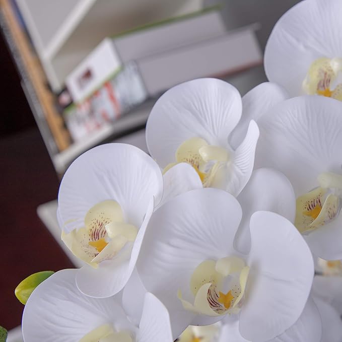 Fnize Orchid Stems Artificial Flowers Real Touch Latex Faux Phalaenopsis Branches 9 Large Blooms 38 Inches 2pcs White