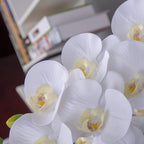 Fnize Orchid Stems Artificial Flowers Real Touch Latex Faux Phalaenopsis Branches 9 Large Blooms 38 Inches 2pcs White