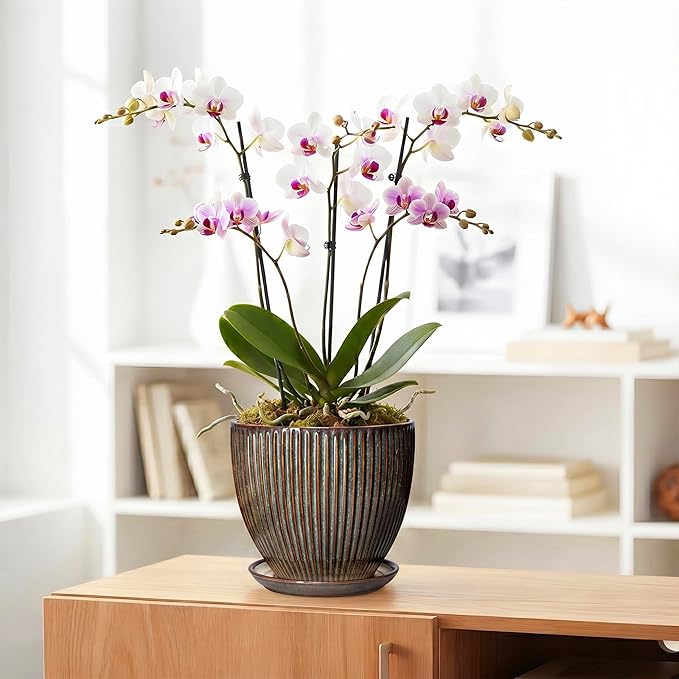Ceramic Planter, 8 Inch Plant Pots for Indoor Plants, Round Planter with Drainage Hole and Saucer, Modern Decorative Flower Pots, House Office Decor, Gifts for Plant Lovers, Retro Brown