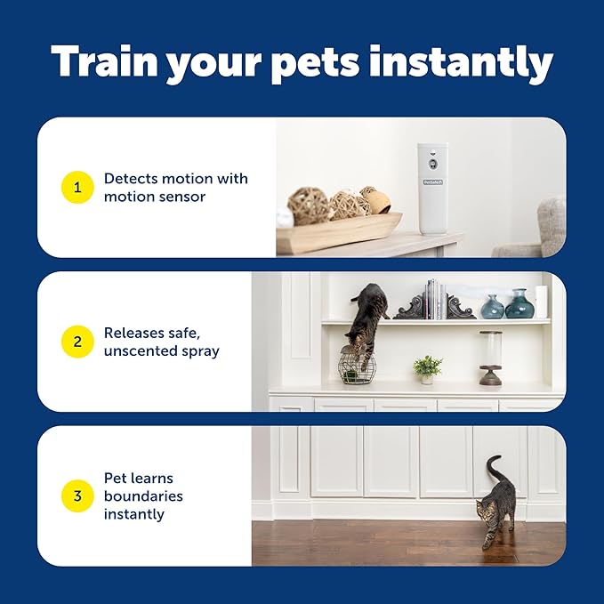 PetSafe SSSCAT Motion Activated Automatic Spray Pet Deterrent for Cats and Dogs