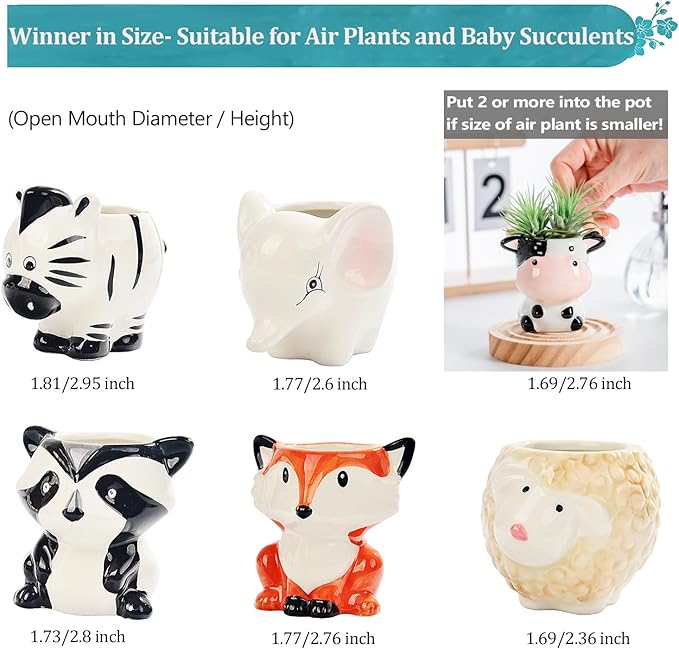 Melphoe 6Pcs Air Plant Holders Cartoon Shaped Small Succulent Pot Animal Planter Small Ceramic Pot Drainage for Mini Plant Cactus Flower, Tillandsia Air Fern, Display Stand Home, Office Desktop