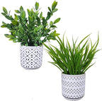 Winlyn Set of 2 Artificial Potted Plants Potted Eucalyptus Plant Artificial Grass in Modern Concrete Plant Pots Outdoor