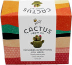 BUZZY Seeds 4pk Mini Cactus Grow Kit with Ceramic Planter, Succulent Seeds, Growing Medium, Easy Instructions, Indoor Gardening Gift for Beginners, Birthdays, Housewarming and Home or Office Decor