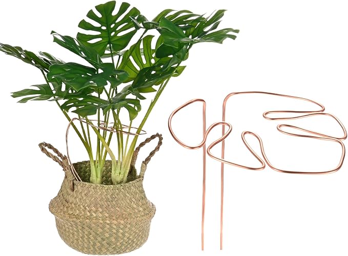 M METERXITY 1-Pack Monstera Plant Support, 11x5.9 Inch Reusable Sturdy Alloy Plant Support Stakes Unique Design for Potted Plants Flowers/Vegetables/Indoor Outdoor Climbing Plants [Copper]