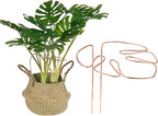 M METERXITY 1-Pack Monstera Plant Support, 11x5.9 Inch Reusable Sturdy Alloy Plant Support Stakes Unique Design for Potted Plants Flowers/Vegetables/Indoor Outdoor Climbing Plants [Copper]