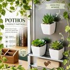 3 Pcs Magnetic Plants Classroom Decor Artificial Potted Potted Greenery Mini Fake Plants with Magnets Back to School Teacher Appreciation Gift for Whiteboard Blackboard Home Office(Succulent)