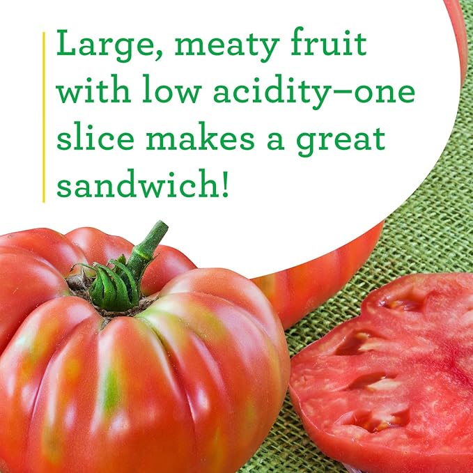 Bonnie Plants German Queen Tomato 19.3 oz. 4-pack