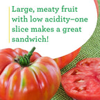 Bonnie Plants German Queen Tomato 19.3 oz. 4-pack