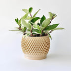 Plant Pots, Modern 3D Printed Honeycomb Planters for Indoor Plants, 4.7 Inch Wood Decorative Flower Pot for Office Desktop, Bookshelf & Home Decor, Lightweight & Durable.