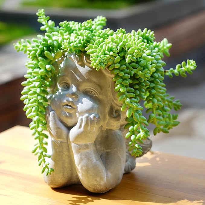 Sprout N Green Donkey's Tail, Live Sedum Morganianum-Burro's tail Succulent in 4" Pot, Trailing Plant for Home Office Indoor Outdoor Hanging Decor, DIY Project, Party Favor, Pet Friendly, Easy to Care