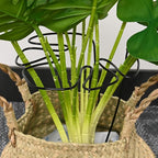M METERXITY 1-Pack Monstera Plant Support, 11x5.9 Inch Reusable Sturdy Alloy Plant Support Stakes Unique Design for Potted Plants Flowers/Vegetables/Indoor Outdoor Climbing Plants [Black]