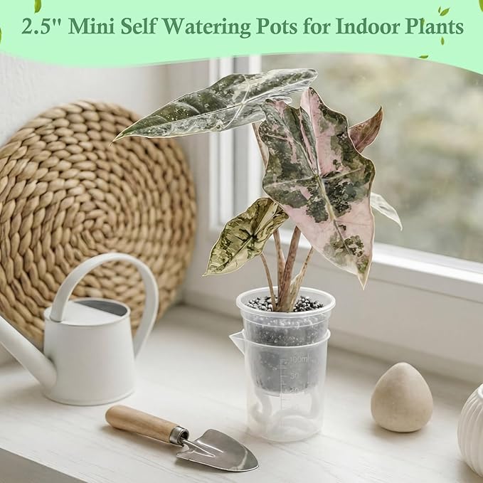 30 Pcak 2.2'' Small Self Watering Pots for Indoor Plants Mini Clear Pots with Water Level Indicator Plastic Automatic-Watering Pot with Drainage Holes for Semi-hydroponic African Violet