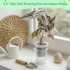 30 Pcak 2.2'' Small Self Watering Pots for Indoor Plants Mini Clear Pots with Water Level Indicator Plastic Automatic-Watering Pot with Drainage Holes for Semi-hydroponic African Violet